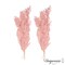 Uniquewise Preserved Real Floral Stems Chic Vase Fillers & Accents for Bouquets Centerpieces & Ornamental Displays Ideal for Home Office Boutique Cafe Resto Bar and Event Decor